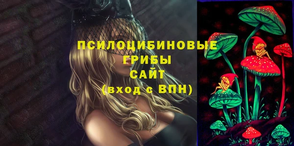 твердый Зерноград