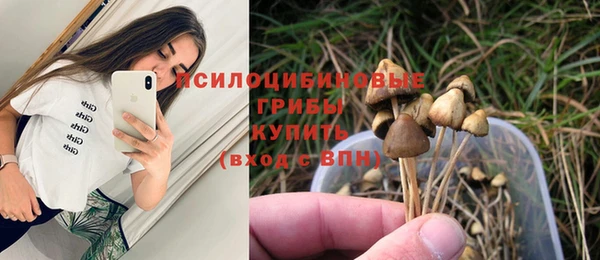 гидропоника Зеленодольск