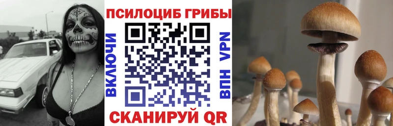 Купить где  Заполярный  Галлюциногенные грибы прущие грибы 